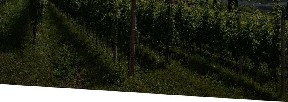 Vins rosés